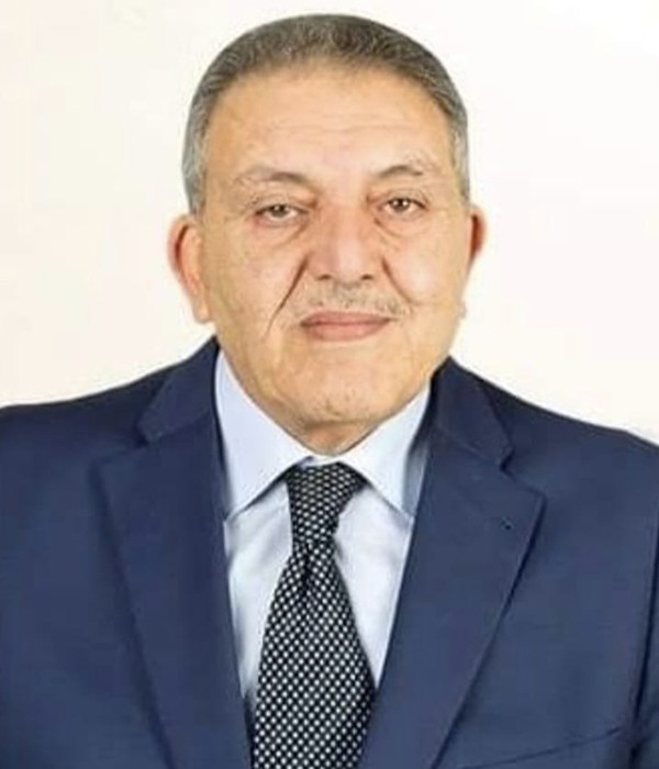 السيد المهندس/ أحمد الوكيل